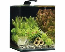 Nano-aquariums