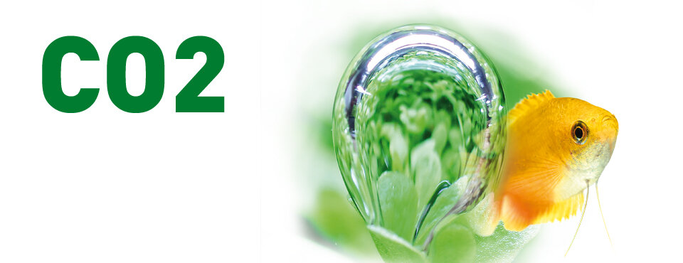 CO2 en toebehoren