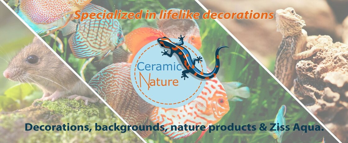 CERAMIC NATURE