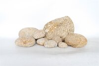 HS AQUA TAMAGO ROCK L - CA. 3.5-5  KG