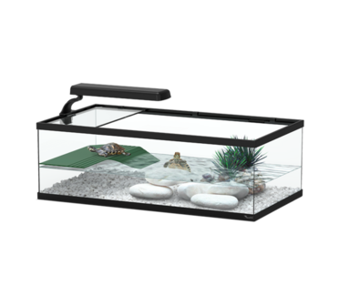 AQUATLANTIS SCHILDPADBAK TORTUM 55 55X29X20 CM WIT-025