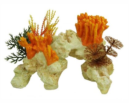 BLUE BELLE PACIFIC CORAL ROCK ORANGE 15 CM