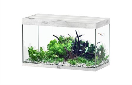 AQUATLANTIS AQUARIUM SUBLIME ULTRA 100x50 CM