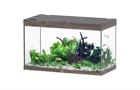 AQUATLANTIS AQUARIUM SUBLIME 100x50 CM