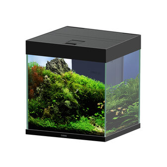 Ciano Aquarium emotions nature pro 40 NEW 39,8x39,8x43cm zwart