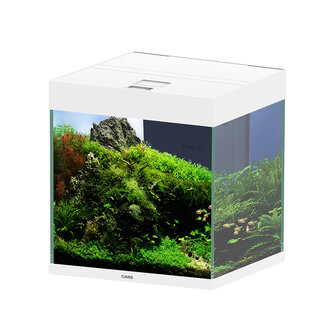 Ciano Aquarium emotions nature pro 40 NEW 39,8x39,8x43cm wit