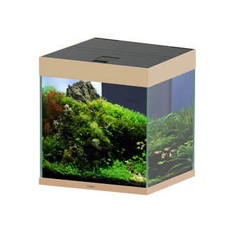 Ciano Aquarium emotions nature pro 40 NEW 39,8x39,8x43cm Mystic