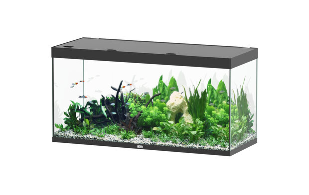 AQUATLANTIS AQUARIUM SUBLIME 150X50 CM 