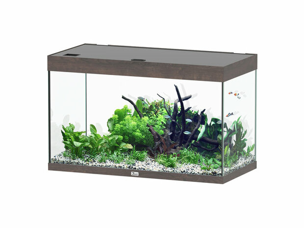 AQUATLANTIS AQUARIUM SUBLIME ULTRA 100x50 CM