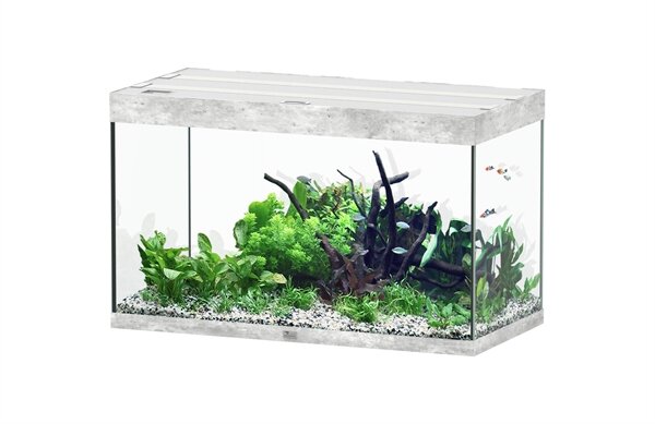 AQUATLANTIS AQUARIUM SUBLIME 100x50 CM