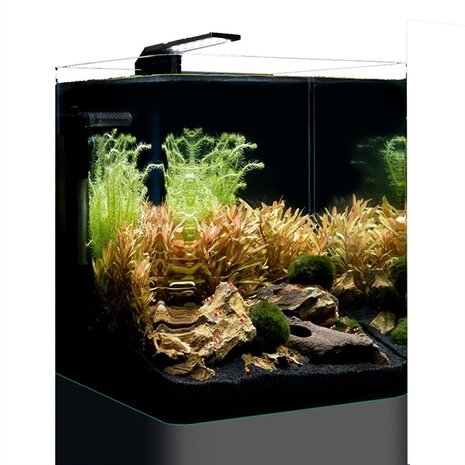 DENNERLE NANO CUBE BASIC 20 L