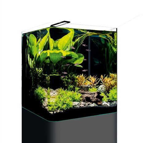 DENNERLE NANO CUBE BASIC 60 L