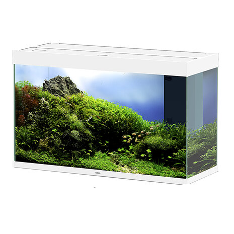 Ciano Aquarium emotions nature pro 100 NEW 102,4x40,2x61cm wit