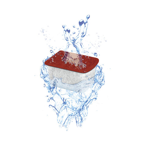 Ciano STOP-ALGAE SMALL 2ST 3,8x3x2,3cm rood