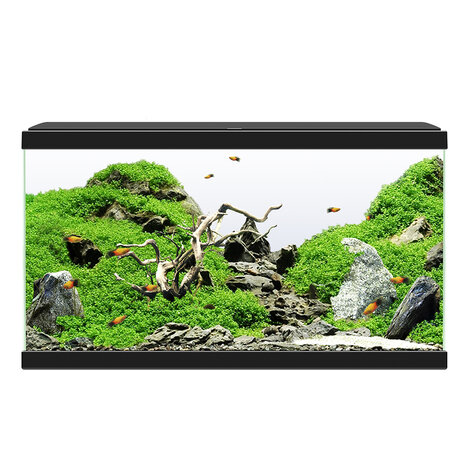 Ciano AQUARIUM 60 LED CF80 60x30x41cm zwart