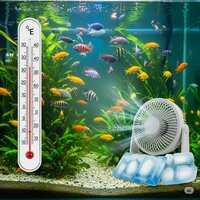 Je aquarium koel houden tijdens warme dagen