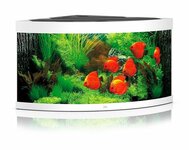 Trigon 350 LED - wit