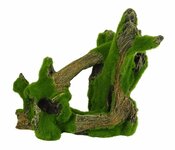 BLUE BELLE PACIFIC MOSSY TRUNKER 2  26X16.7X25.4 CM