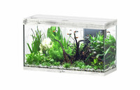 AQUATLANTIS AQUARIUM SPLENDID 100 ULTRA BIOBOX
