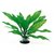 PLANT CLASSIC ECHINODORUS LG