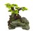 BLUE BELLE PACIFIC BONSAI WONDER 1 24.3X21.8X24.5 CM