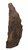 BLUE BELLE PACIFIC ROCKIN FELLAS BROWN 1 16.8X10.8X35.7 CM