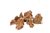 HS AQUA MAPLE LEAF ROCK S  CA. 1-1.5 KG