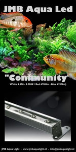 JMB Aqua Led 2.0 - 9W/34CM - 4W/1R - 8.000K - COMMUNITY - Bright