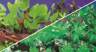 HOBBY FOTO ACHTERWAND PLANTEN 1/5 60 CM