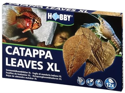 HOBBY NANO CATAPPA LEAVES XL 12 ST