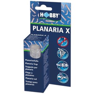 HOBBY PLANARIA X VAL