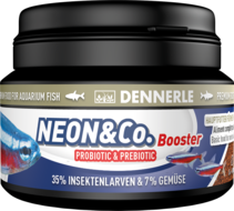 DENNERLE NEON & CO BOOSTER 100 ML