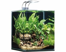 DENNERLE NANOCUBE COMPLETE+ SOIL 20 L - POWER LED 5.0