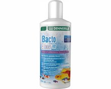 DENNERLE BACTO ELIXIER FB7 250 ML