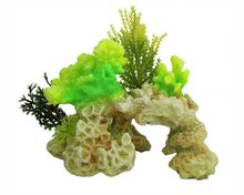 BLUE BELLE PACIFIC CORAL ROCK GREEN 15 CM