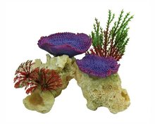 BLUE BELLE PACIFIC CORAL ROCK LILA 12 CM