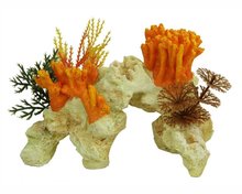 BLUE BELLE PACIFIC CORAL ROCK ORANGE 15 CM