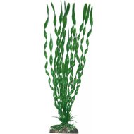 PLANT CLASSIC VALISNERIA MAJOR XL