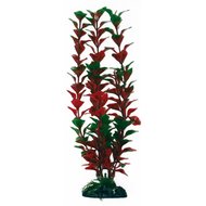 PLANT CLASSIC LUDWIGIA SM                  .