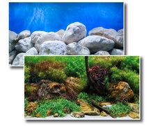 DOUBLE BACKGROUND ADVENTURE 45 cm