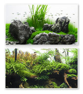 DOUBLE BACKGROUND AMAZONIA 45 cm