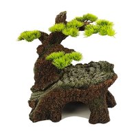 BLUE BELLE PACIFIC BONSAI WONDER 2 21.1X17.4X22.4 CM