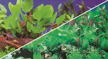 HOBBY FOTO ACHTERWAND PLANTEN 1/5 60 CM