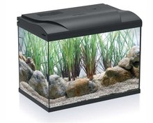 HS AQUA AQUARIUM COLDY 20 LED ZWART 39X22X30 CM