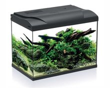 HS AQUA AQUARIUM PLATY 50 LED ZWART 49X31X38 CM