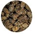 HOBBY ALDER CONES 50 ST (ZWARTE ELS KEGELS)_